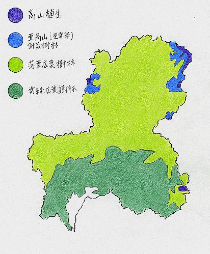 植生の水平分布図