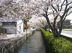 景観に配慮された用水路の写真(揖斐川町）