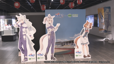 展示の様子