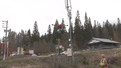 クマの追い払い