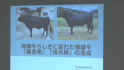 飛騨牛らしさに優れた種雄牛の造成
