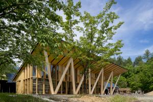 morinos photo1