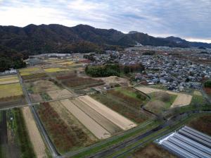 野古墳群