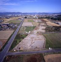 発掘区