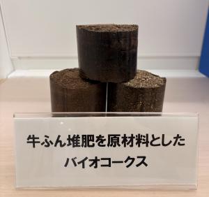 牛ふん堆肥バイオコークス