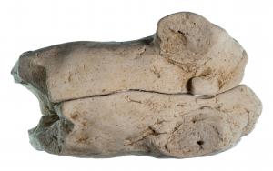 下から撮影した写真です