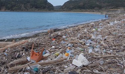 海洋プラスチックごみ 海洋プラスチックごみ