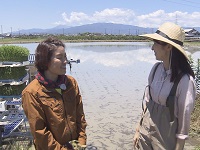 スマート農業 スマート農業