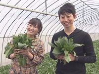 夏ほうれんそうの生産者にインタビュー 夏ほうれんそうの生産者にインタビュー