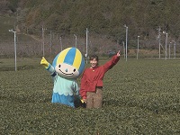 ミナモと茶畑 ミナモと茶畑