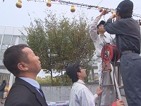 ひょうたんイルミネーションの設置作業 ひょうたんイルミネーションの設置作業