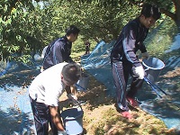 作業をする生徒 作業をする生徒