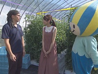 トマトの生産者を訪問 トマトの生産者を訪問