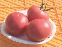 飛騨トマト 飛騨トマト