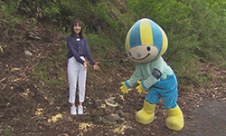 経口ワクチン散布