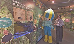 企画展「ワイルドアマゾン アマゾン最高!」