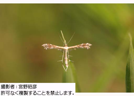 写真を拡大表示します 写真を拡大表示します